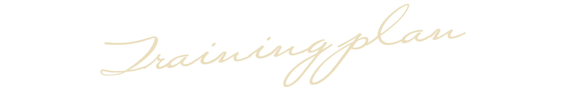 Training plan
